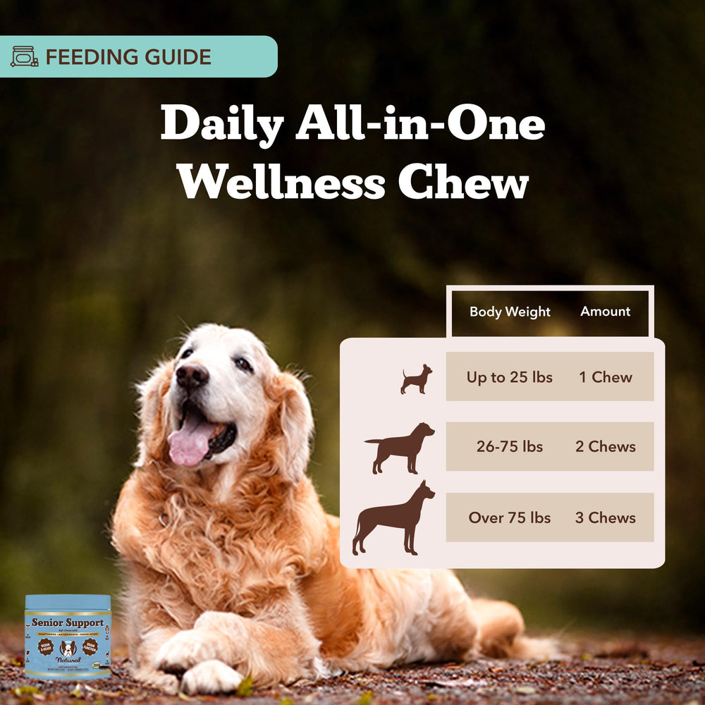 Natural Dog Company Senior Dog Vitamins chew omega-3 CoQ10 visible for heart health.