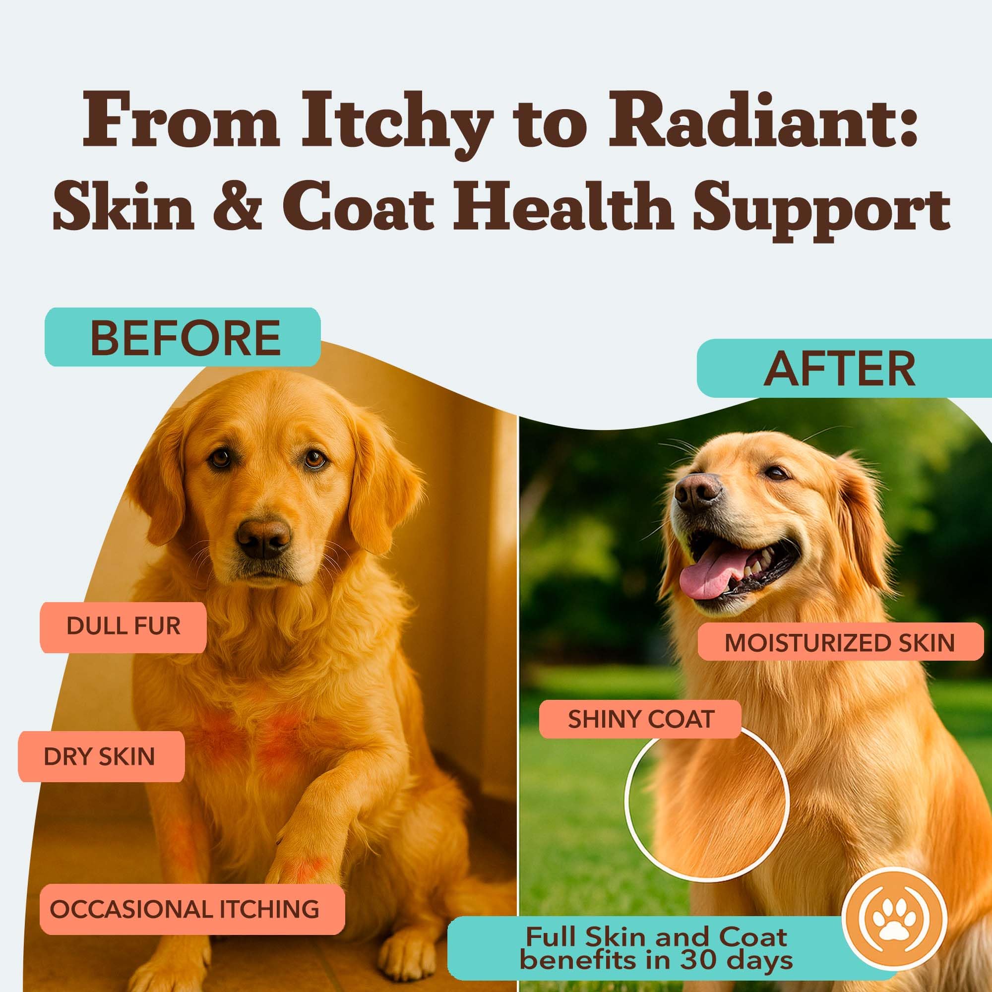 Natural Dog Company Skin & Coat bottle pouring salmon oil into bowl supports healthy skin