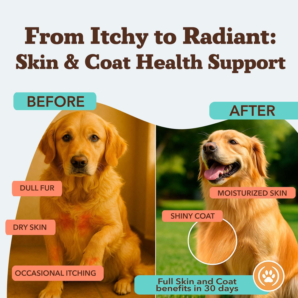 Natural Dog Company skin coat chews for dogs shown as part of daily routine