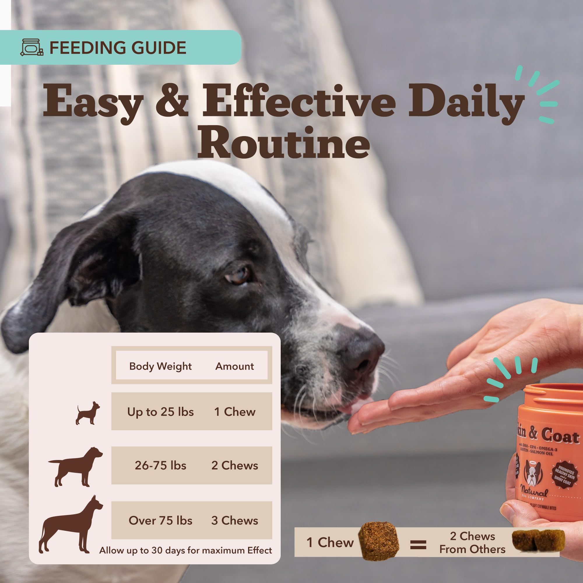 Natural Dog Company Skin & Coat ingredients Biotin Vitamin E support skin health