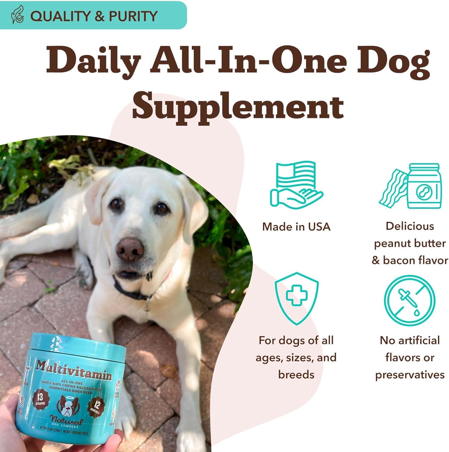 Natural Dog Company skin and coat chews showing glossy coat benefits