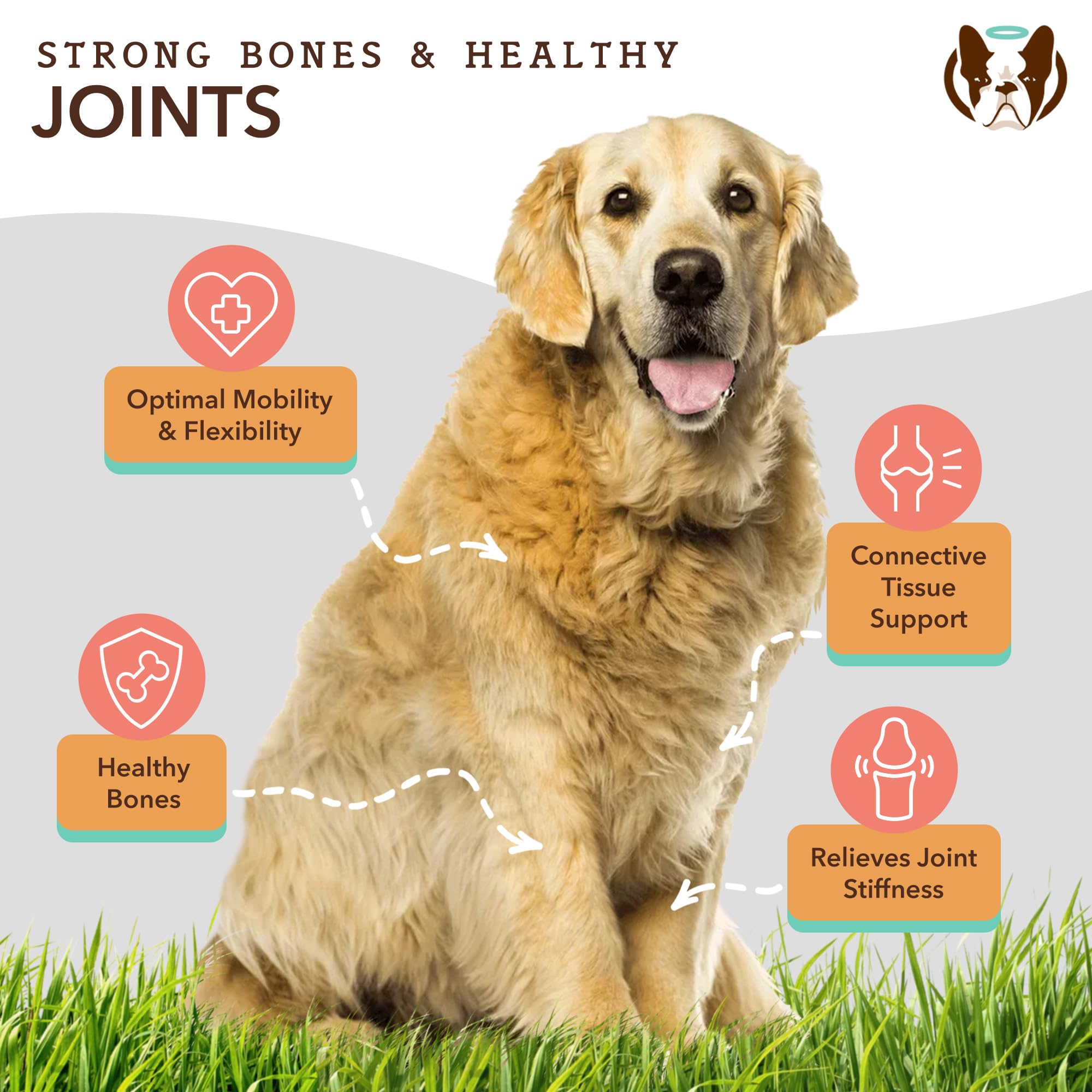 Natural Dog Company Skin & Coat Oil label close-up highlighting omega ingredients