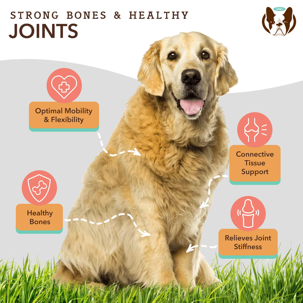 Natural Dog Company Skin & Coat Oil label close-up highlighting omega ingredients