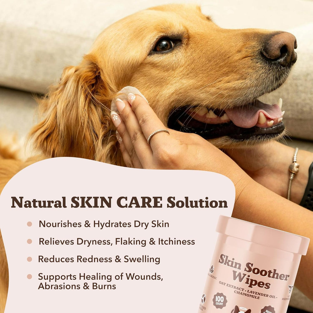 Natural Dog Company Skin Soother Bundle dog with happy coat after use.