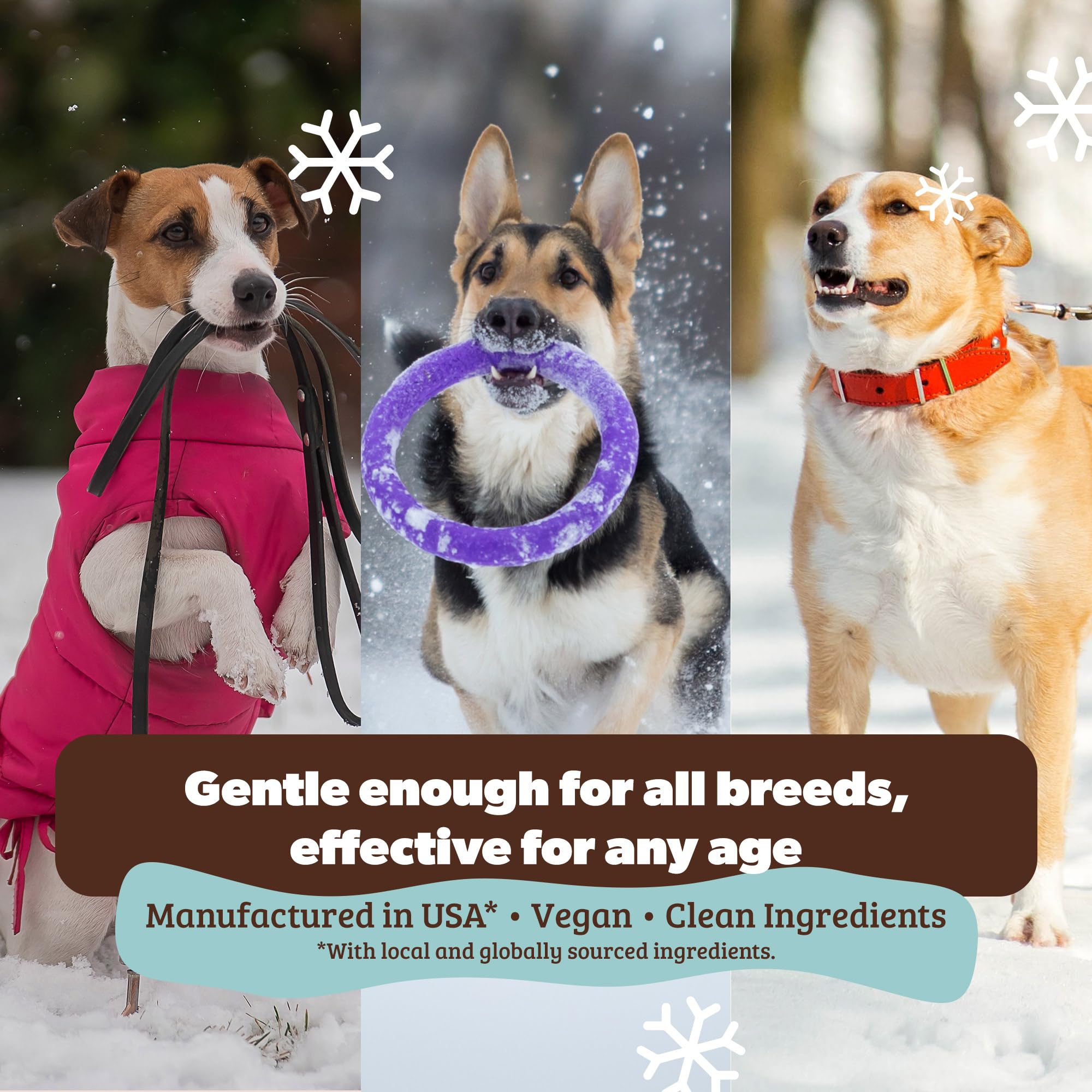 Natural Dog Company Skin Soother uses almond oil and vitamin E to nourish dry, crusty skin.