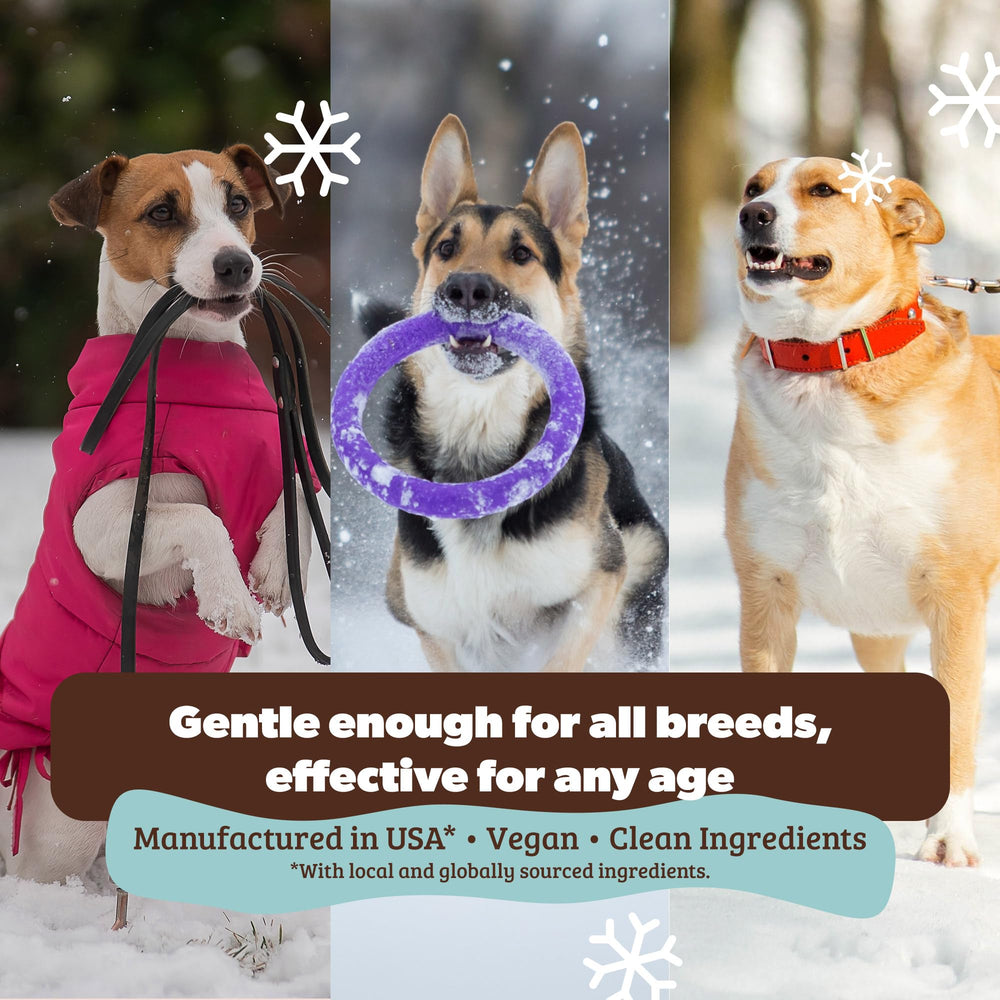 Natural Dog Company Skin Soother vitamin E care highlights nourishment amid outdoor exposure.