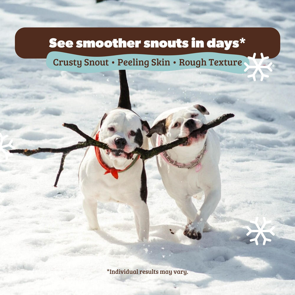Natural Dog Company Snout Soother application closeup demonstrates smooth spread.