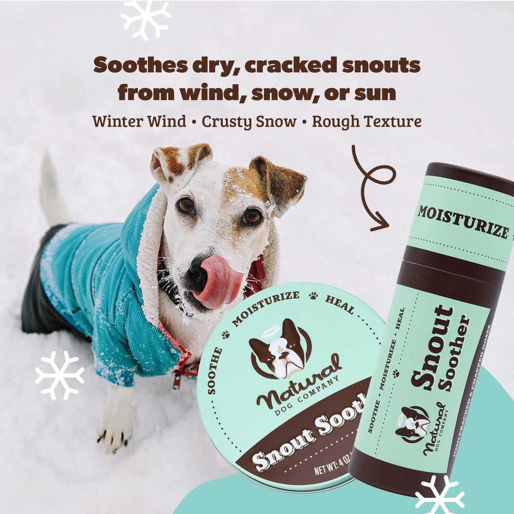 Natural Dog Company Snout Soother application shows easy balm rub for cracked snouts