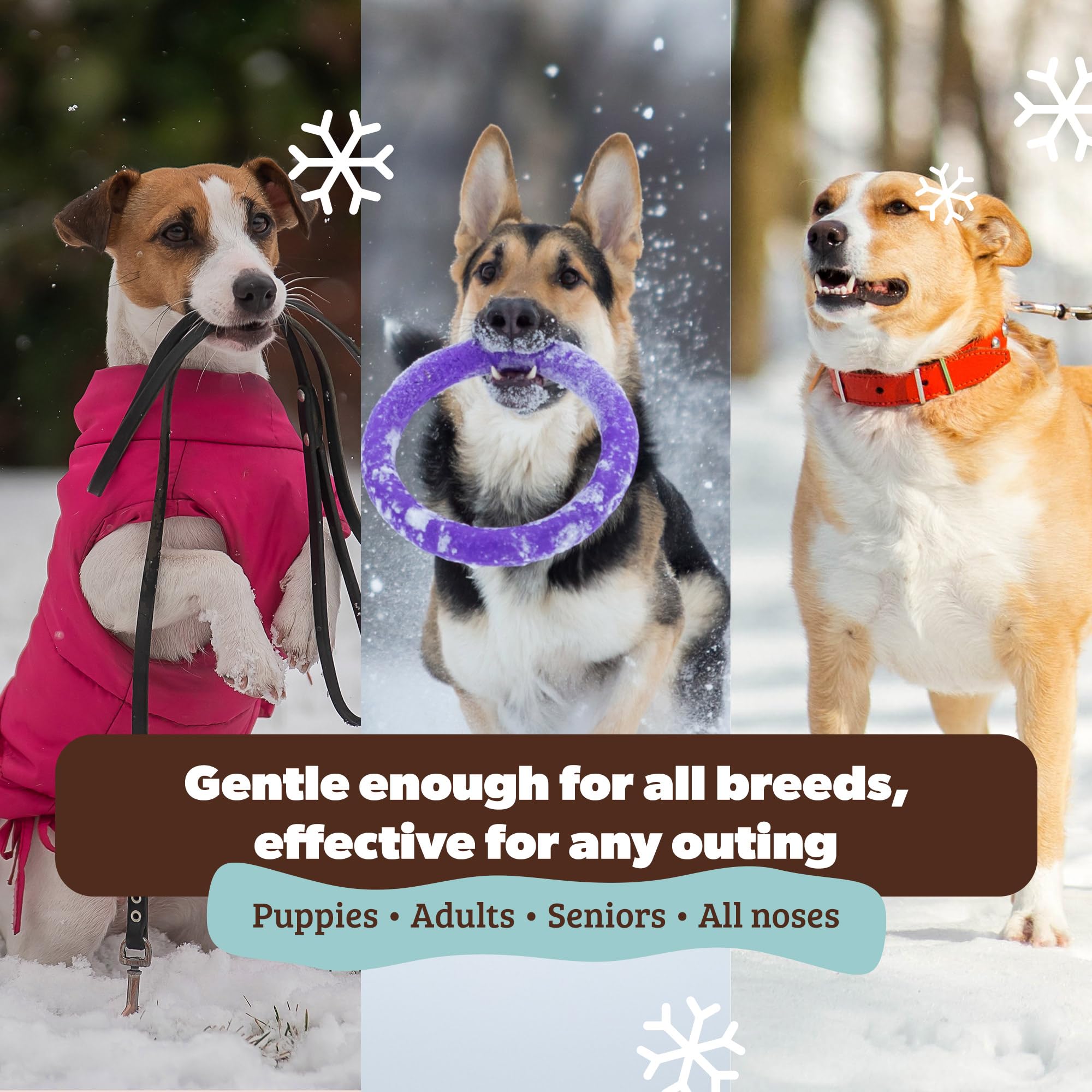 Natural Dog Company Snout Soother dog nose closeup shows relief from dryness