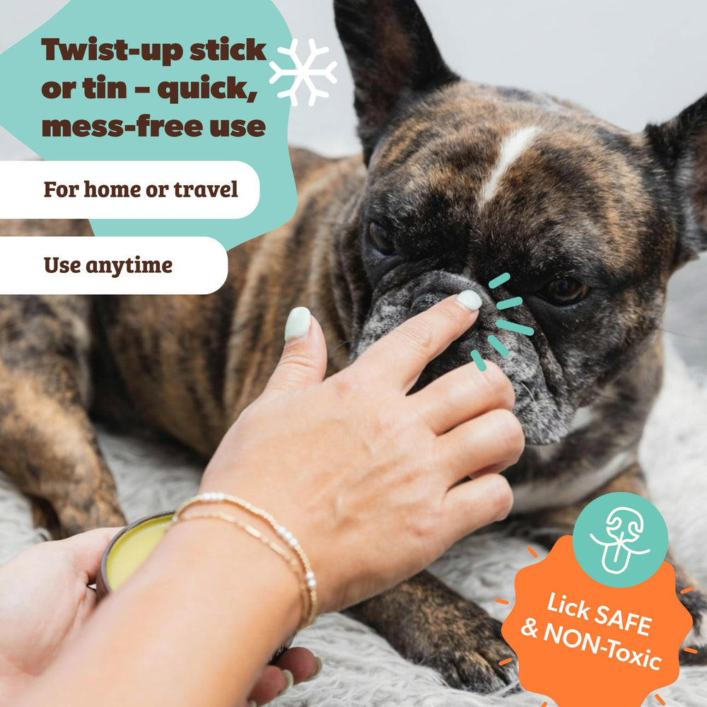 Natural Dog Company Snout Soother seasonal dryness protection for wind and sun