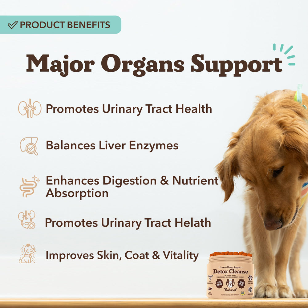 Natural Dog Company soft chews close-up; dogs love the flavor for daily support.