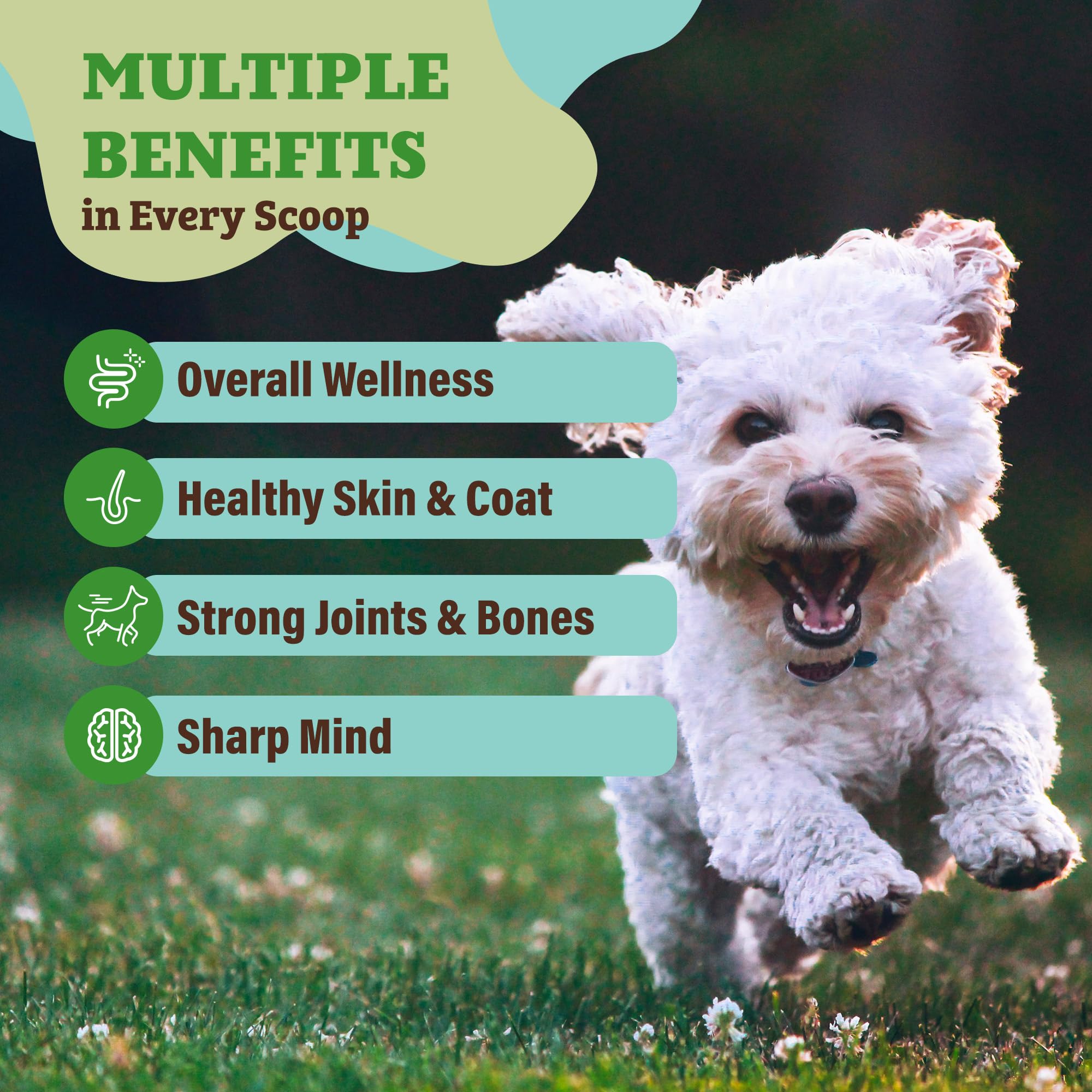 Natural Dog Company Super Greens mixed into dog meal for a tasty boost