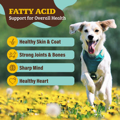 Natural Dog Company Super Seeds Topper blends into dry or wet meals for easy feeding.