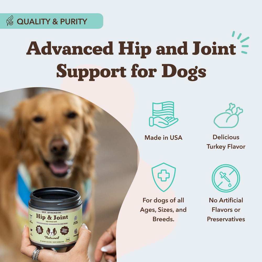 Natural Dog Company Vet Strength MSM ingredient supports connective tissue