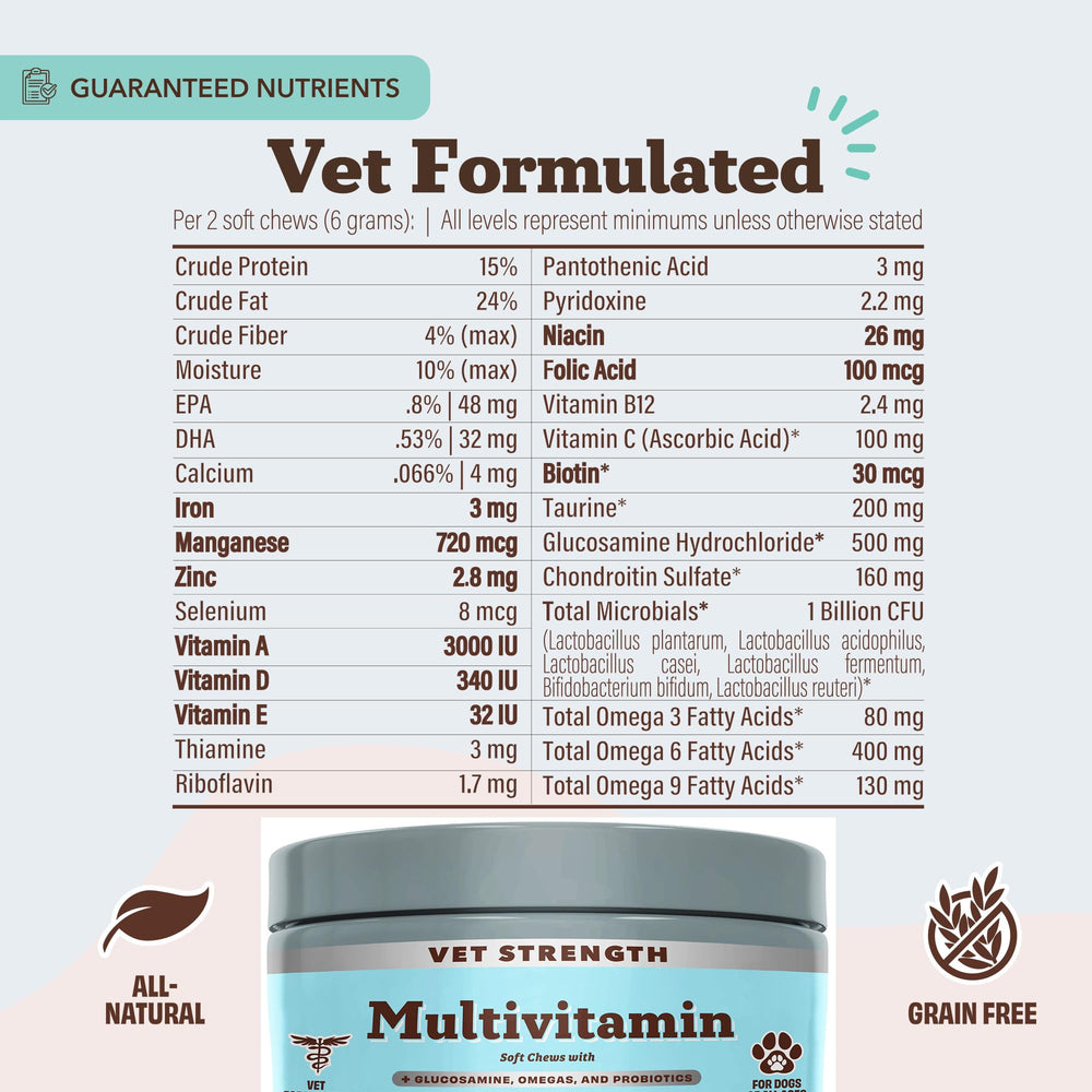 Natural Dog Company Vet Strength probiotics illustrating gut health support for digestion.