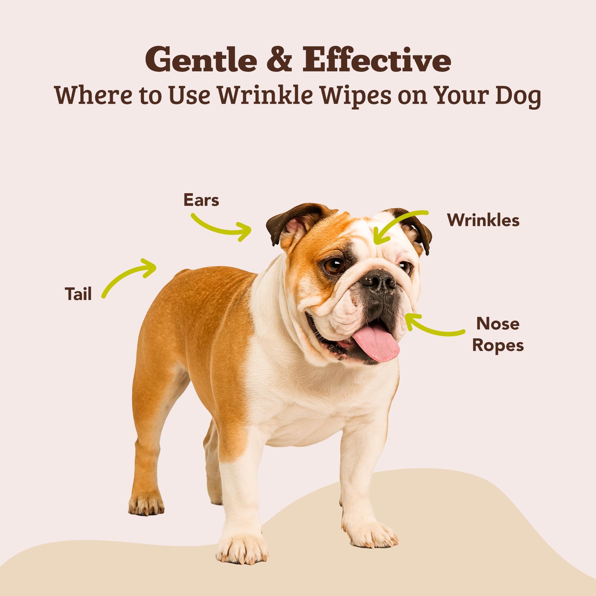 Natural Dog Company Wrinkle Wipes, cuidado-de-pliegues, previene irritaciones comunes