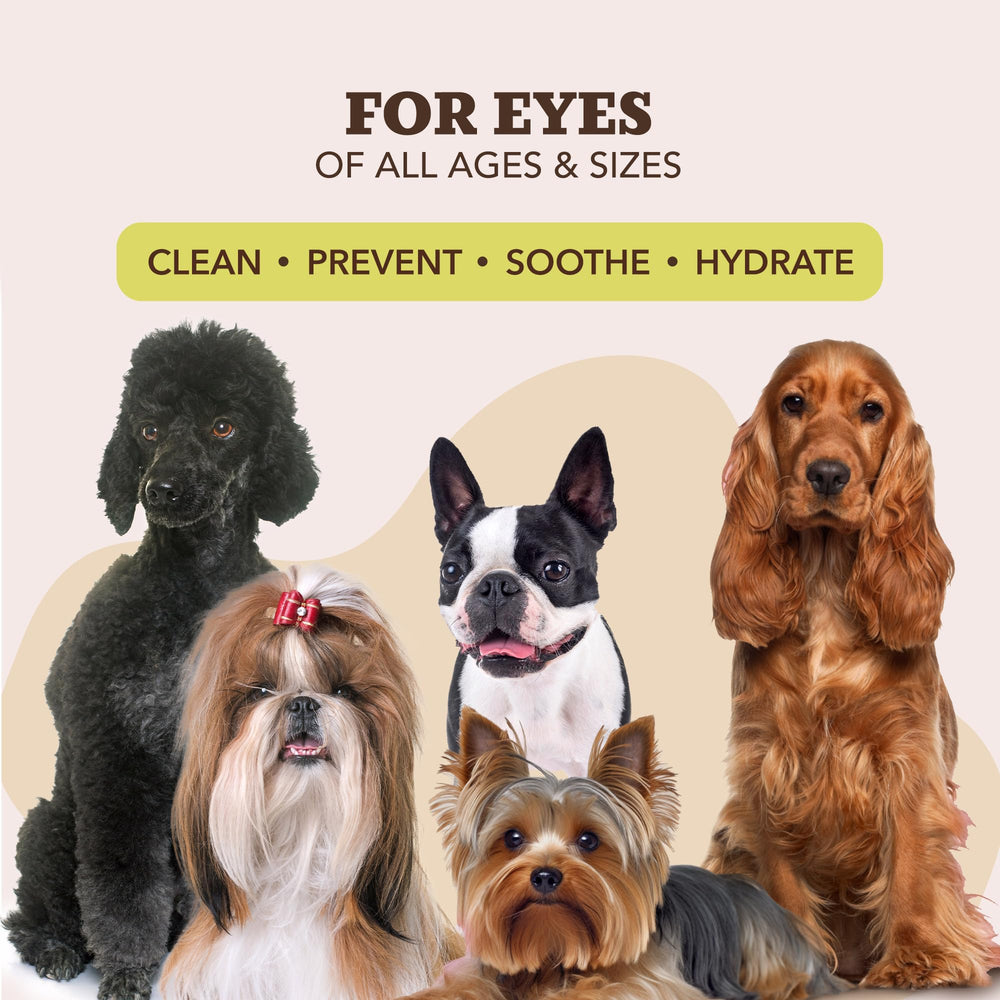 Natural Dog Company Wrinkle Wipes, cuidado-patas-trasero-perro, protege zonas sensibles