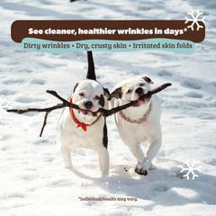 Natural Dog Company wrinkle-wipes duo beside balm for clean, deodorized folds.