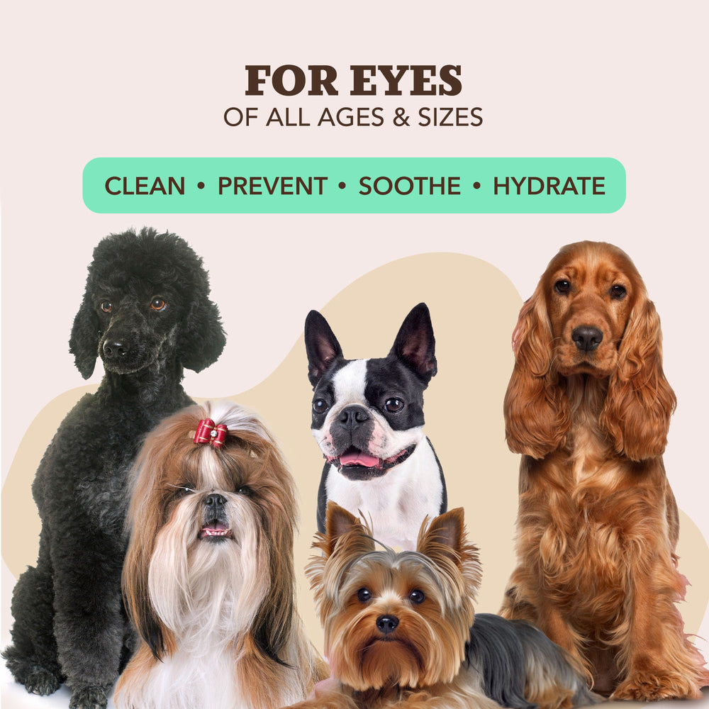 Natural Dog Company XL grooming wipes offer full-body coverage for paws, face, ears, and more.