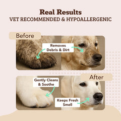 Natural Dog Company XL grooming wipes show odor removal for fresher fur after play.