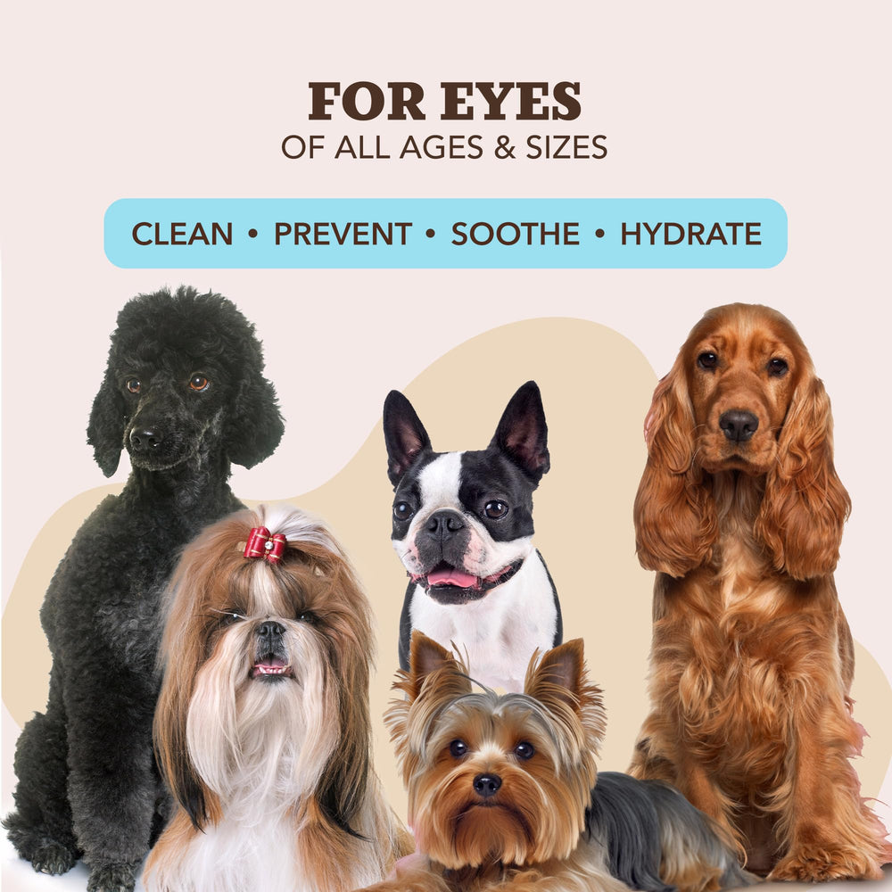 Natural Dog Eye Wipes: limpieza de ojos para evitar costras y manchas de lágrimas.