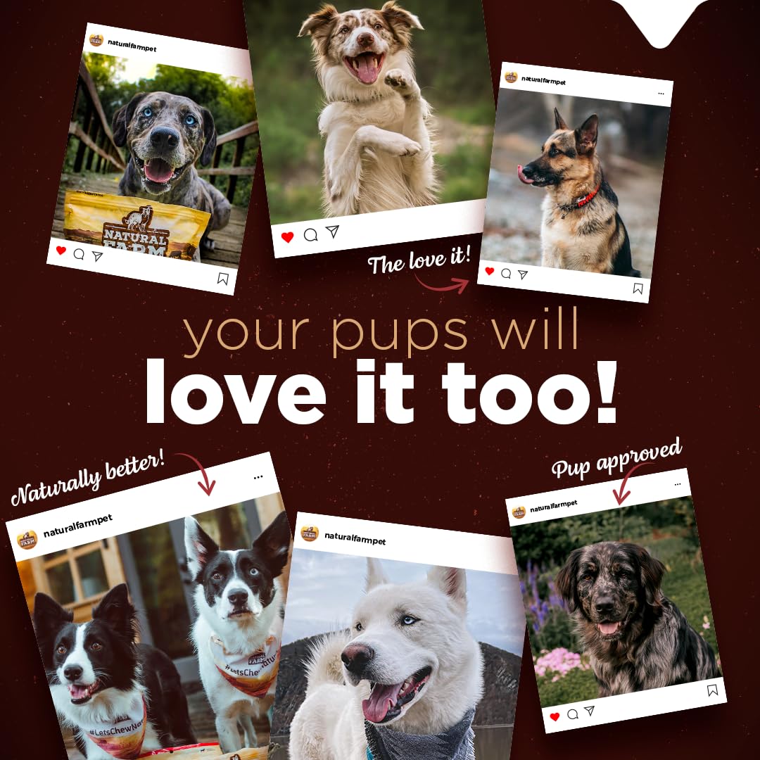 Natural Farm bully cheek stick packaging highlights donations supporting shelters and rescues.