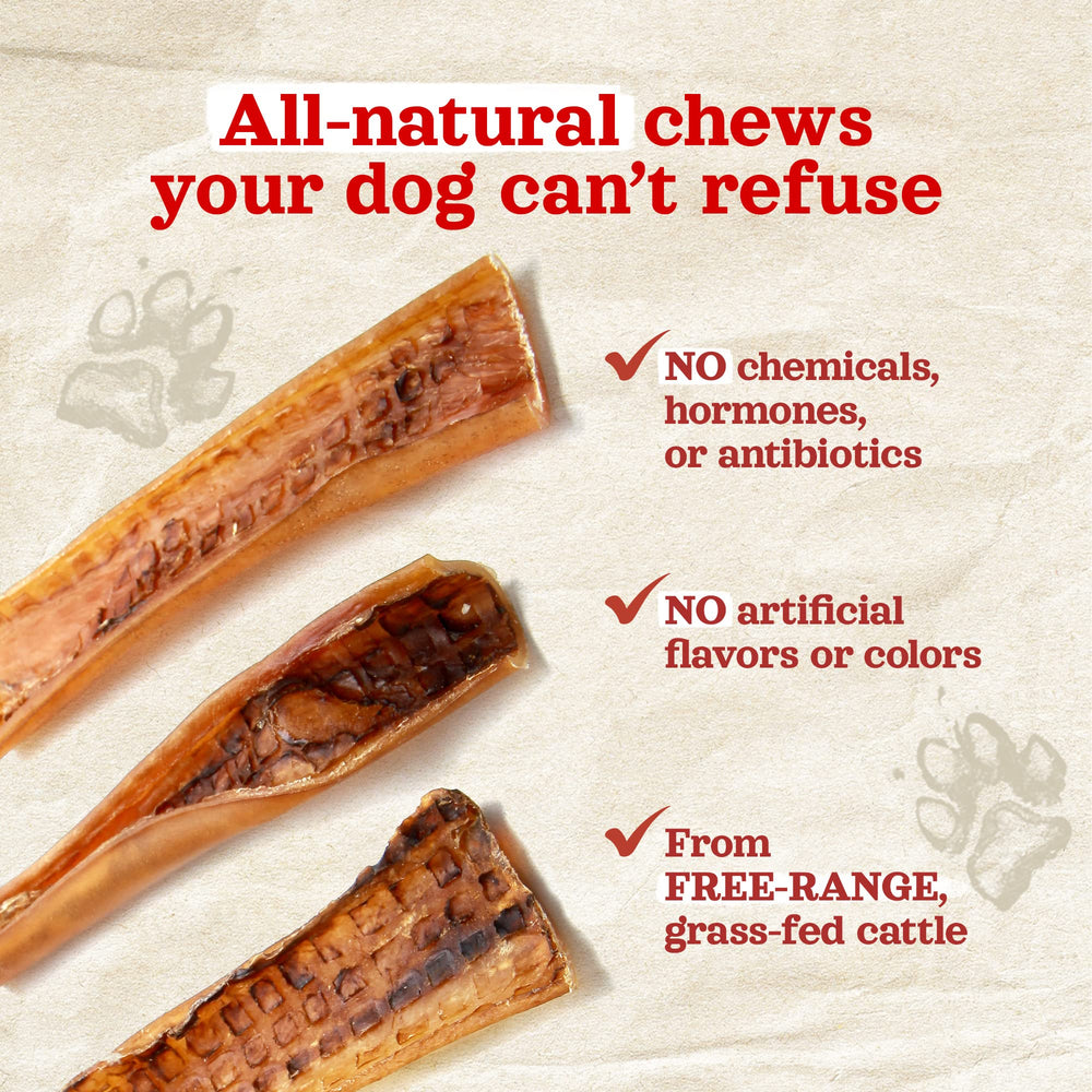 Natural Farm Bully Chips dog chewing action demonstrates long-lasting, satisfying reward.
