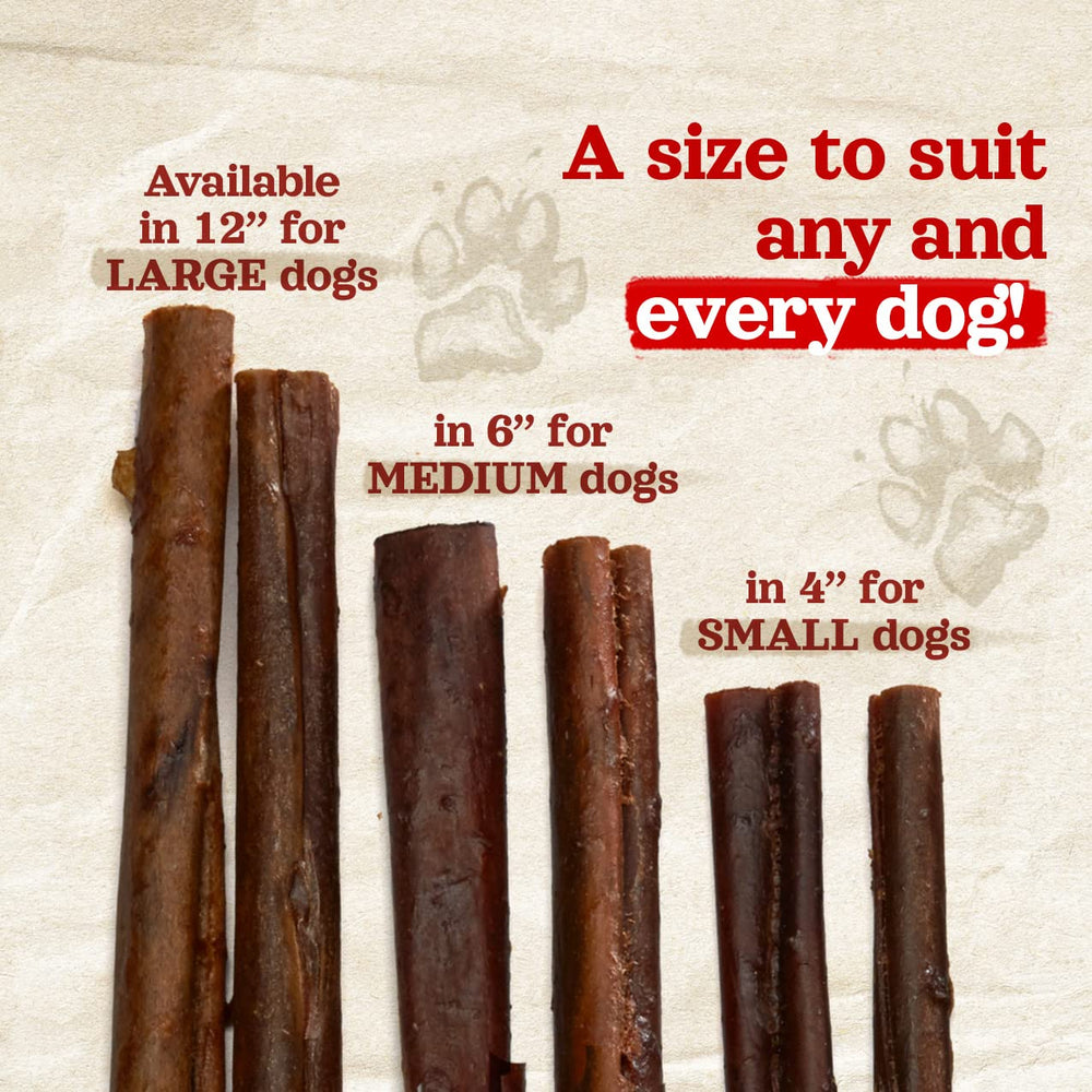 Natural Farm Bully Sticks in use by dog for extended play and chewing