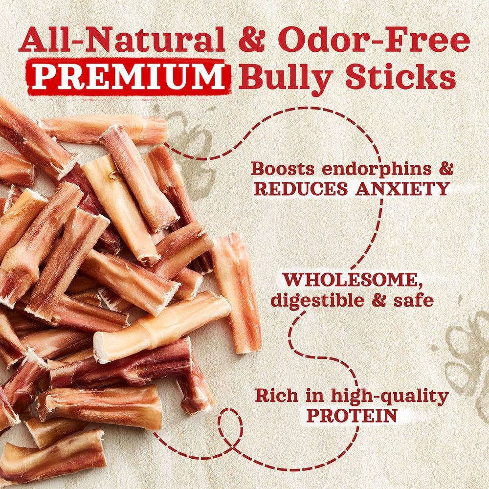 Natural Farm dogs-chewing bully sticks show long-lasting engagement for dogs.