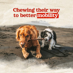 Natural Farm highly digestible chews for small and medium dogs