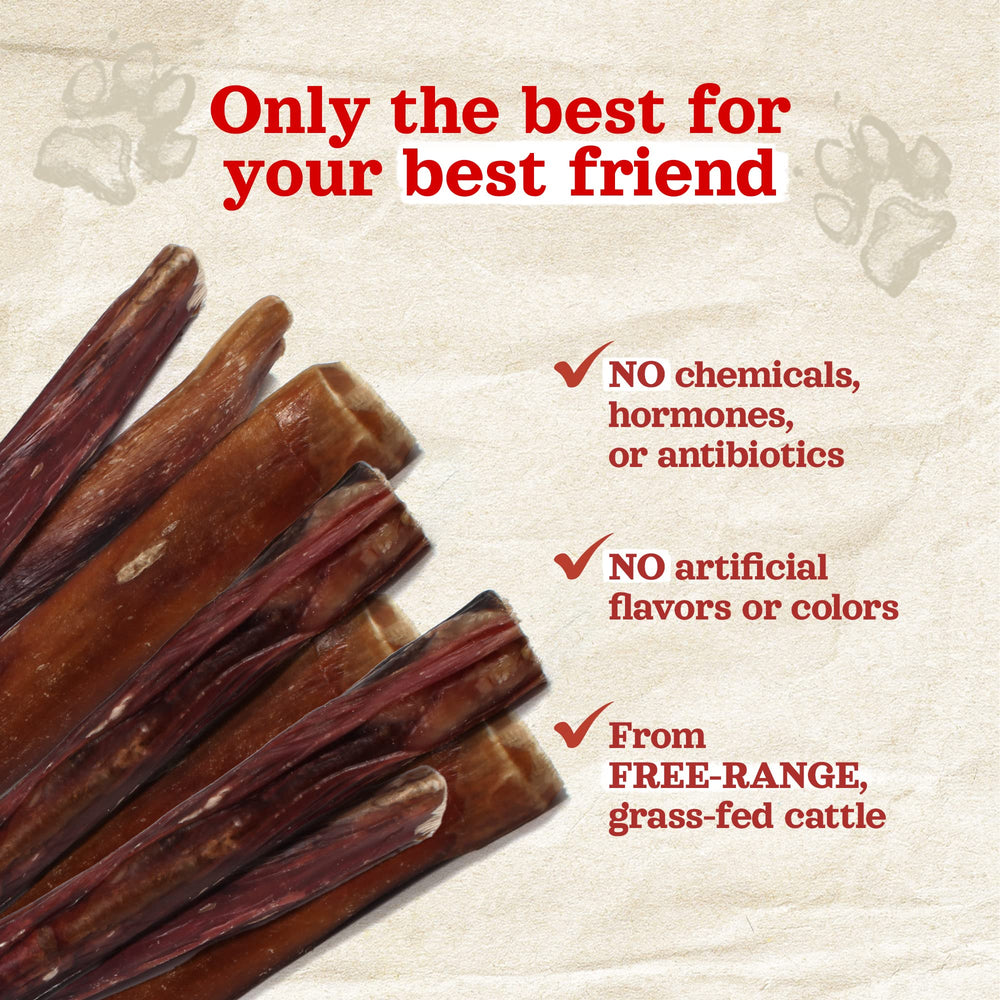 Natural Farm Power Bully Sticks 6in dog-chewing action demonstrates real-use enjoyment.