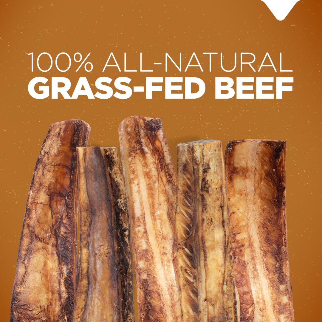 Natural Farm Rib Bones in action; chewing may support dental health