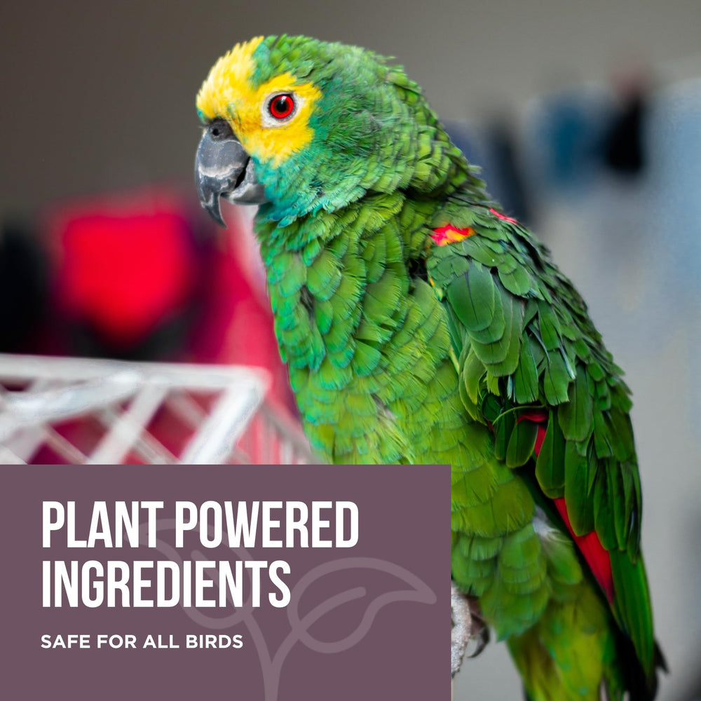 Natural Rapport Bird Cage Cleaner being sprayed for easy application and quick cleaning