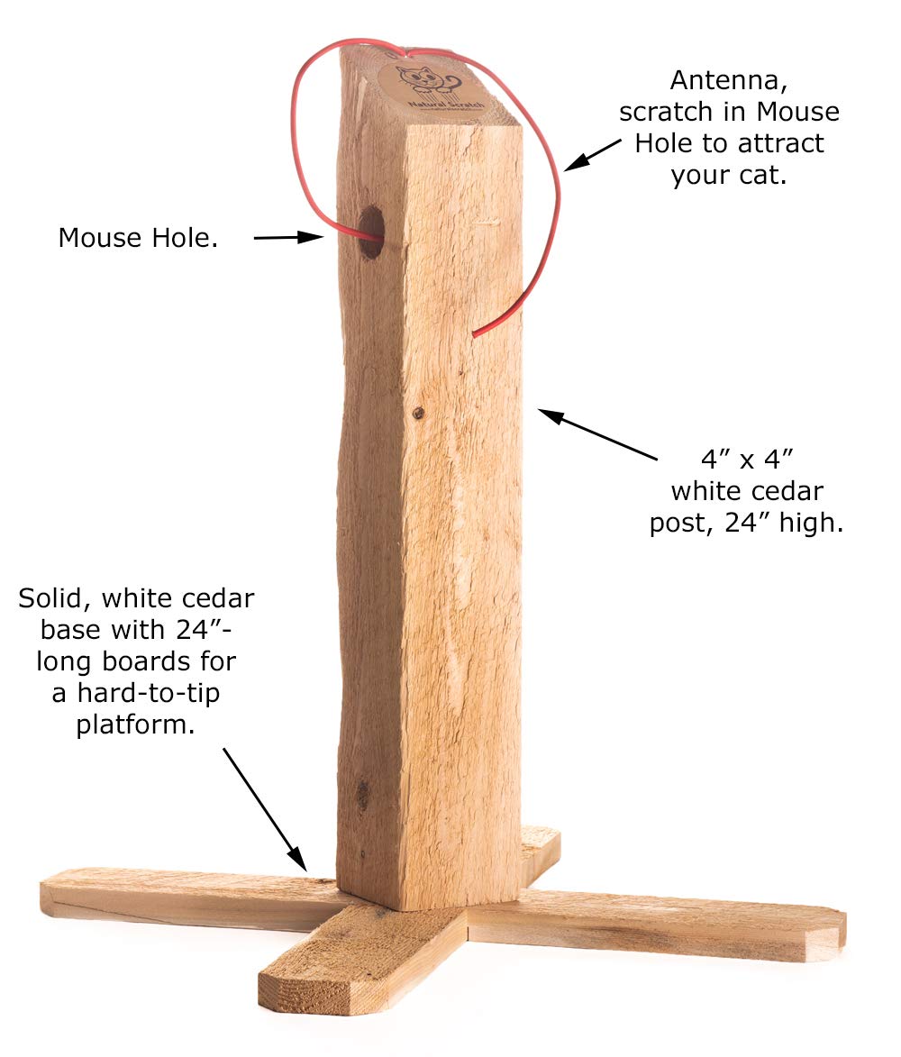 Natural Scratch cedar post side view highlighting durable wood and balanced X-base