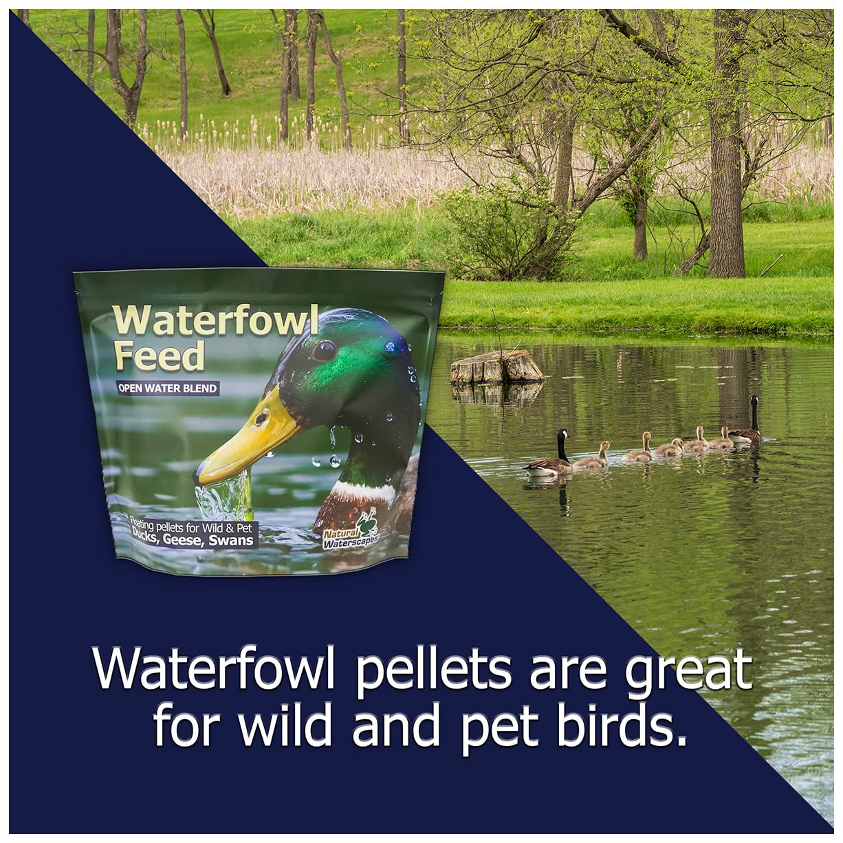 Natural Waterscapes ducks swans geese fed diet shows waterfowl-specific formulation.