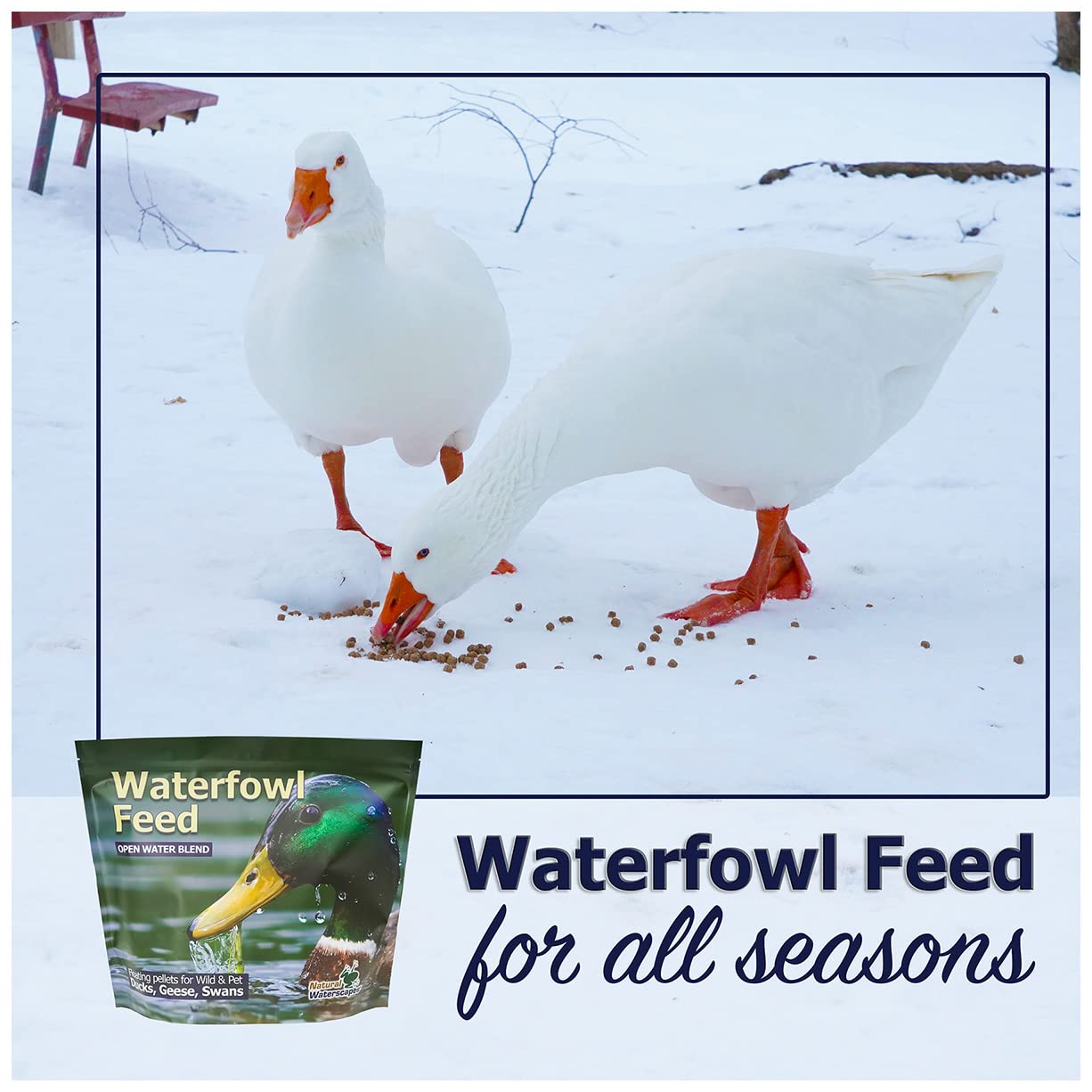 Natural Waterscapes fishmeal protein feature emphasizes balanced nutrition for水fowl.