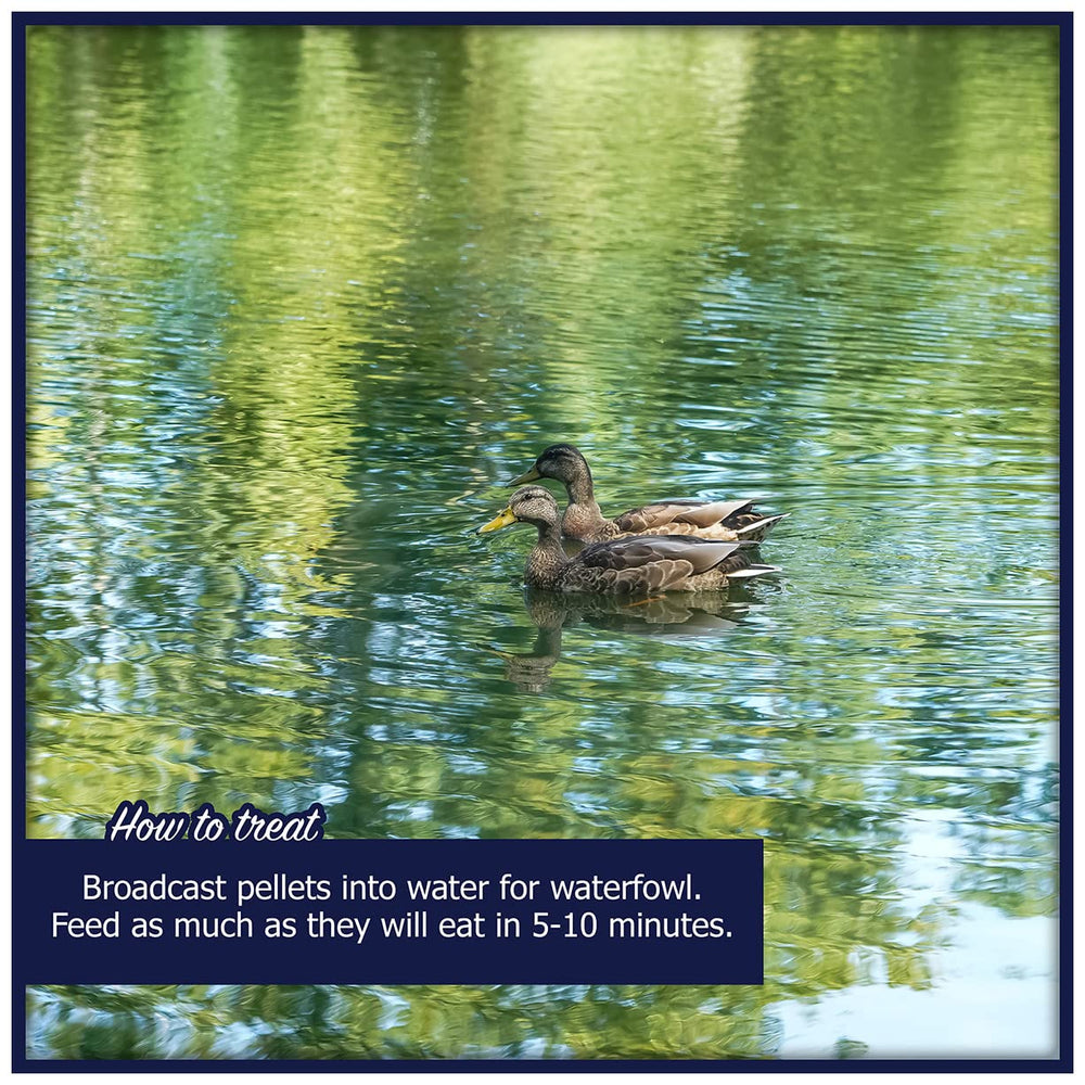 Natural Waterscapes pellet texture close-up highlights high-quality waterfowl diet.