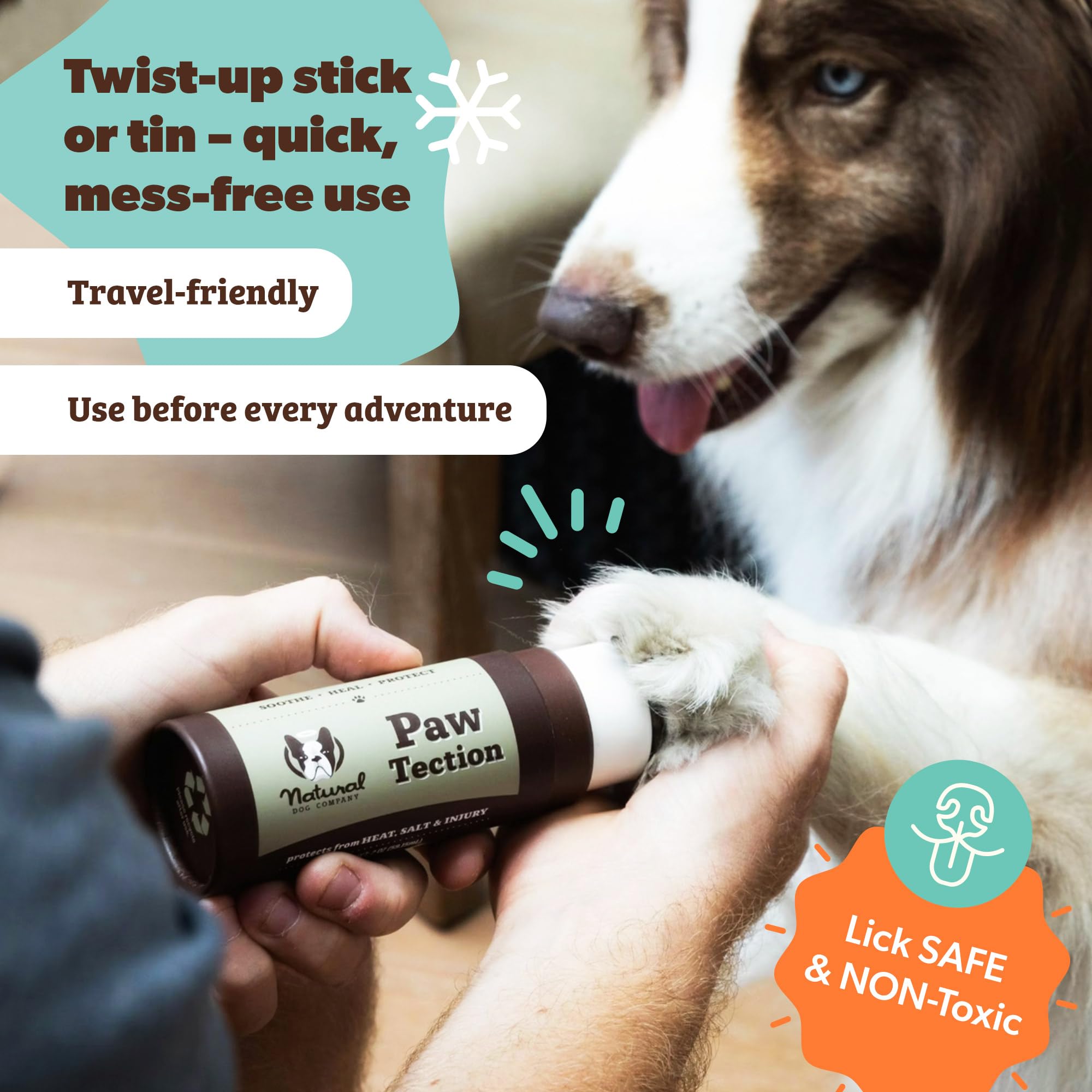 PawTection balm on hot pavement showing year-round comfort potential