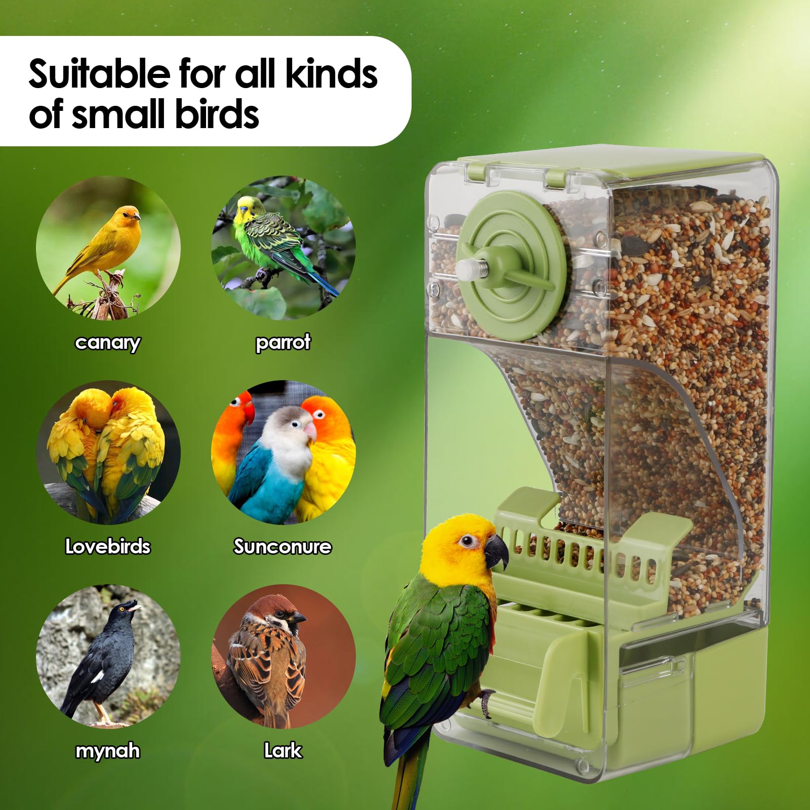 Nature Ann no-mess two-pack feeder in green supports tidy cages