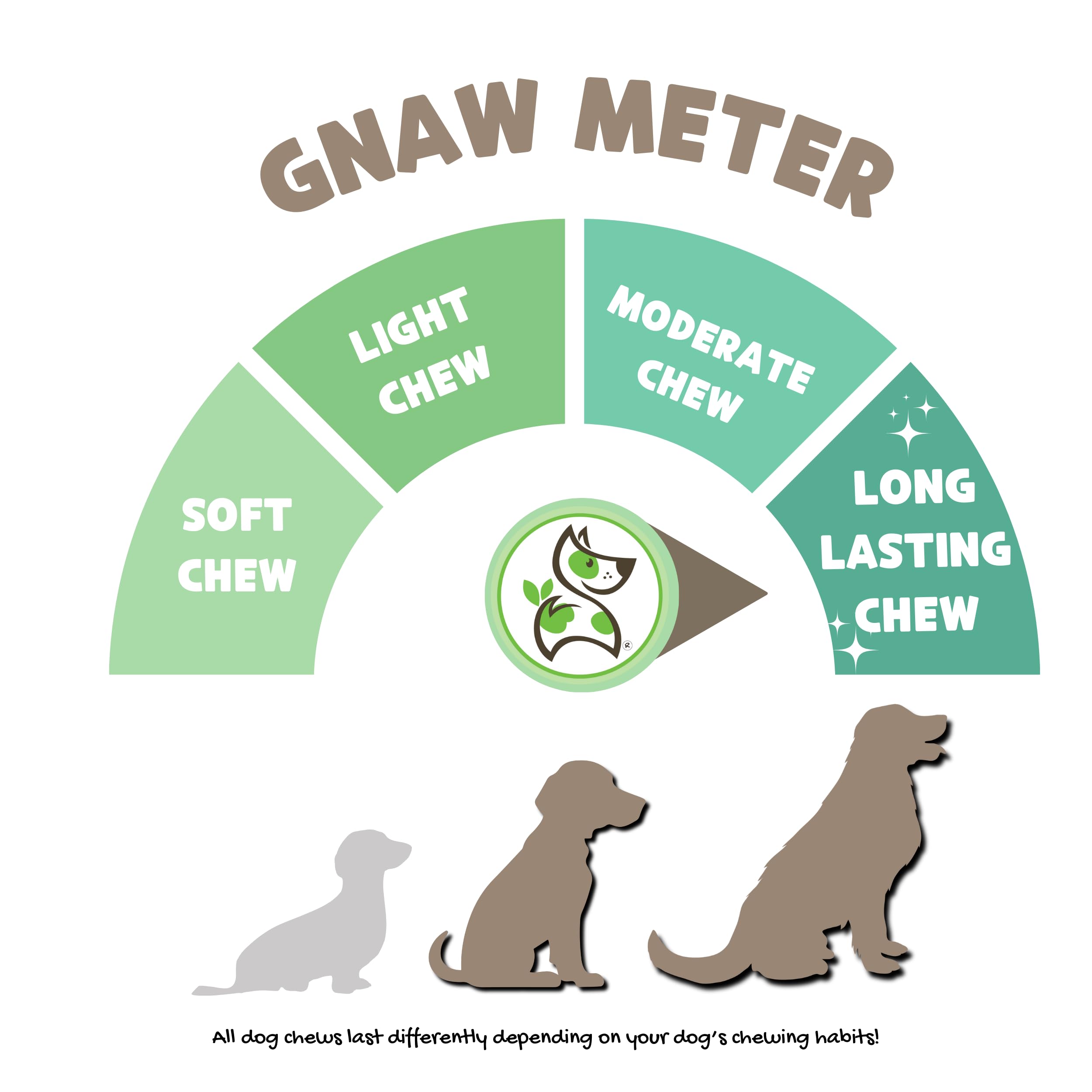 Nature Gnaws Large Bully Sticks dog-chewing action, helps keep pets occupied during playtime.