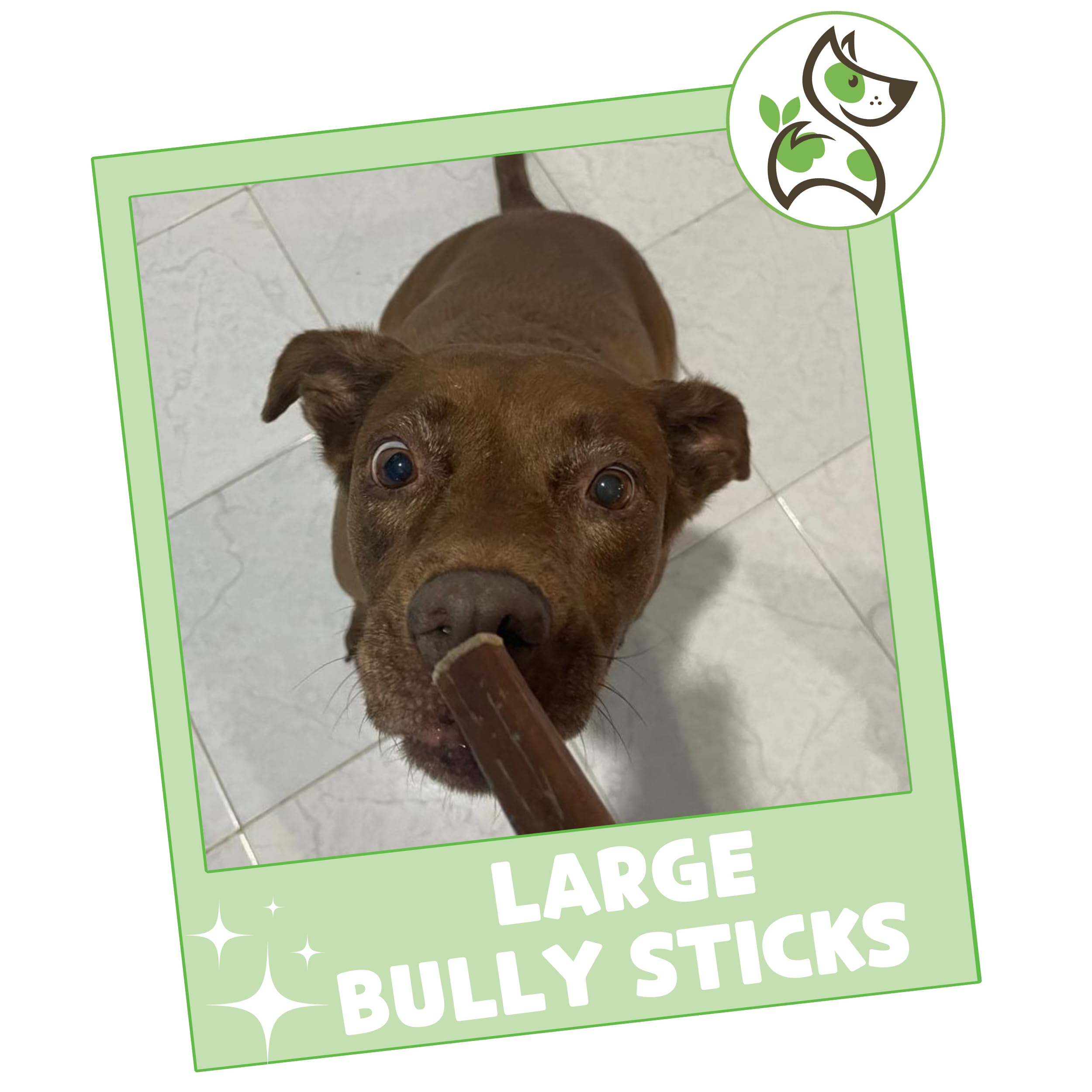 Nature Gnaws Large Bully Sticks family-run-brand trusted natural chews