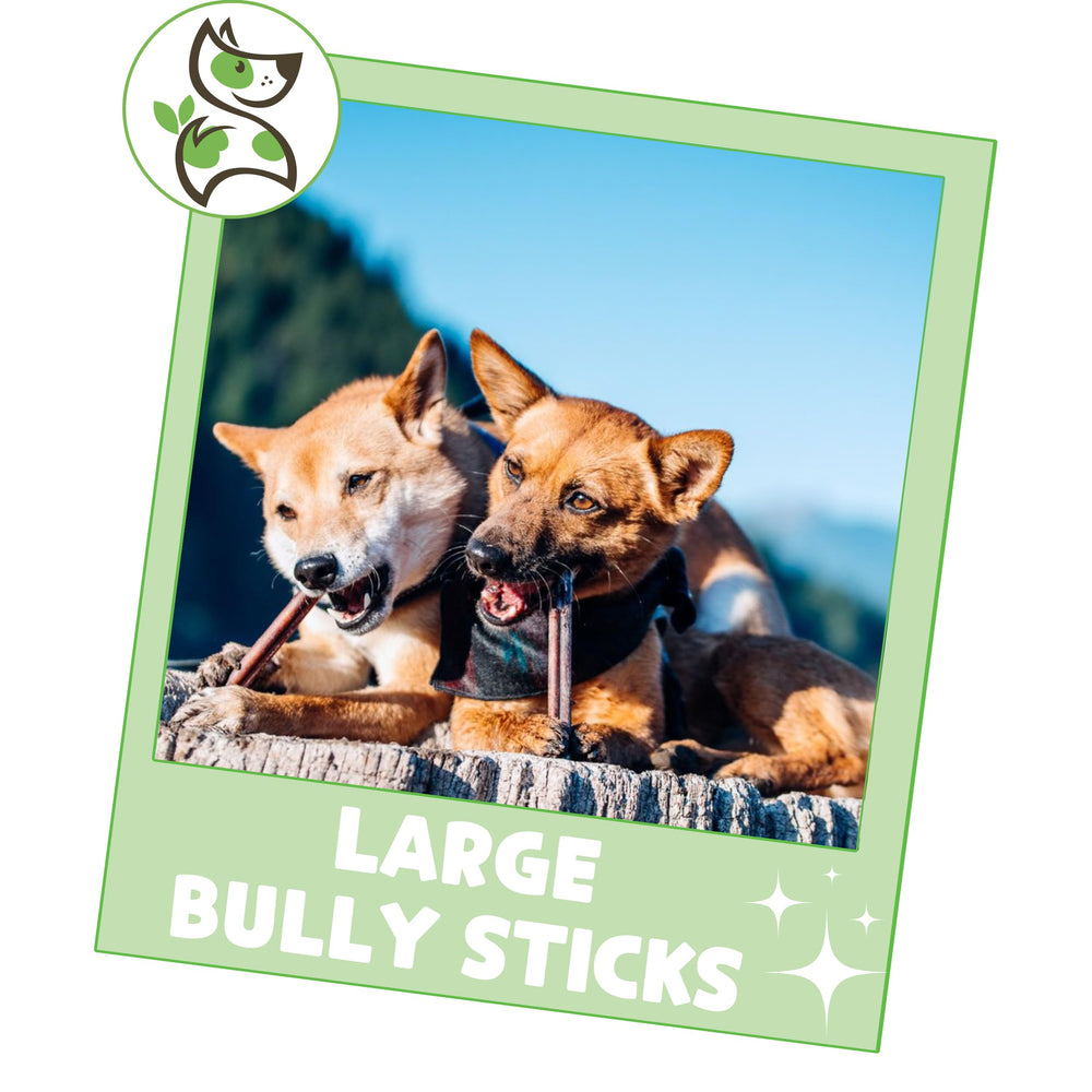 Nature Gnaws Large Bully Sticks for-large-dogs suited for big breeds