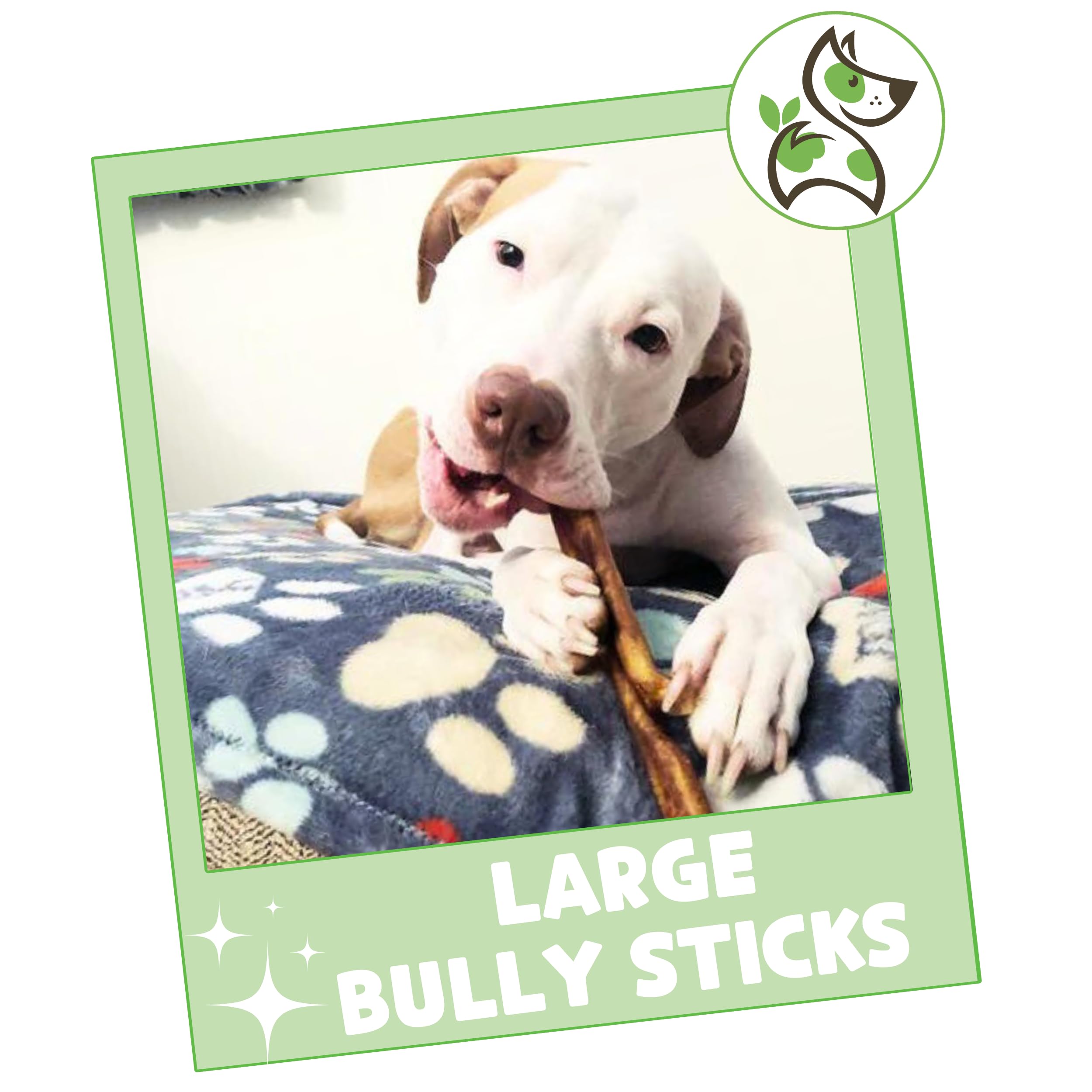 Nature Gnaws Large Bully Sticks natural snack, low-odor and enticing beef flavor.