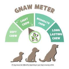 Nature Gnaws USA Turkey Tendons dog chewing action promoting focus during training