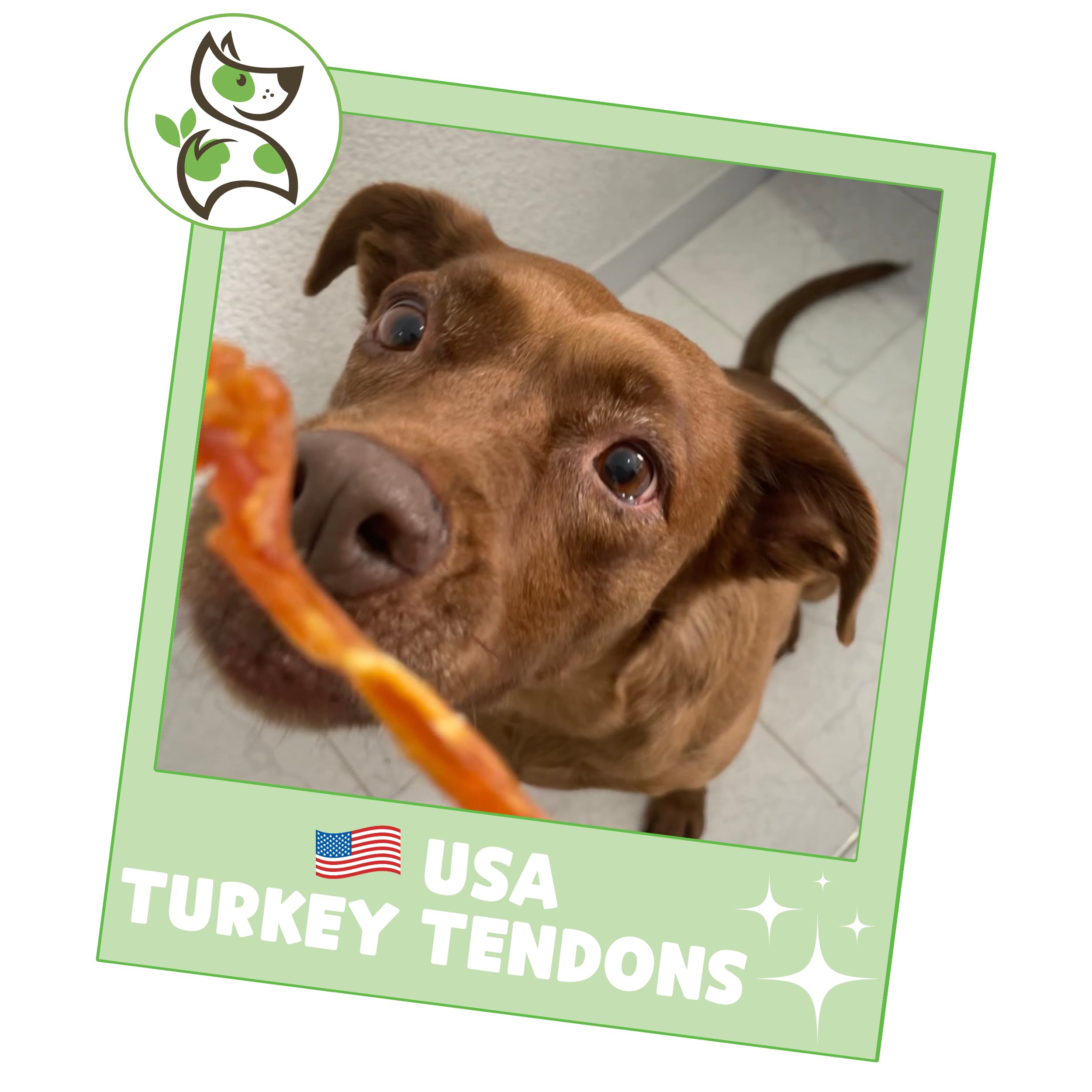 Nature Gnaws USA Turkey Tendons small-dog reward chew for teething