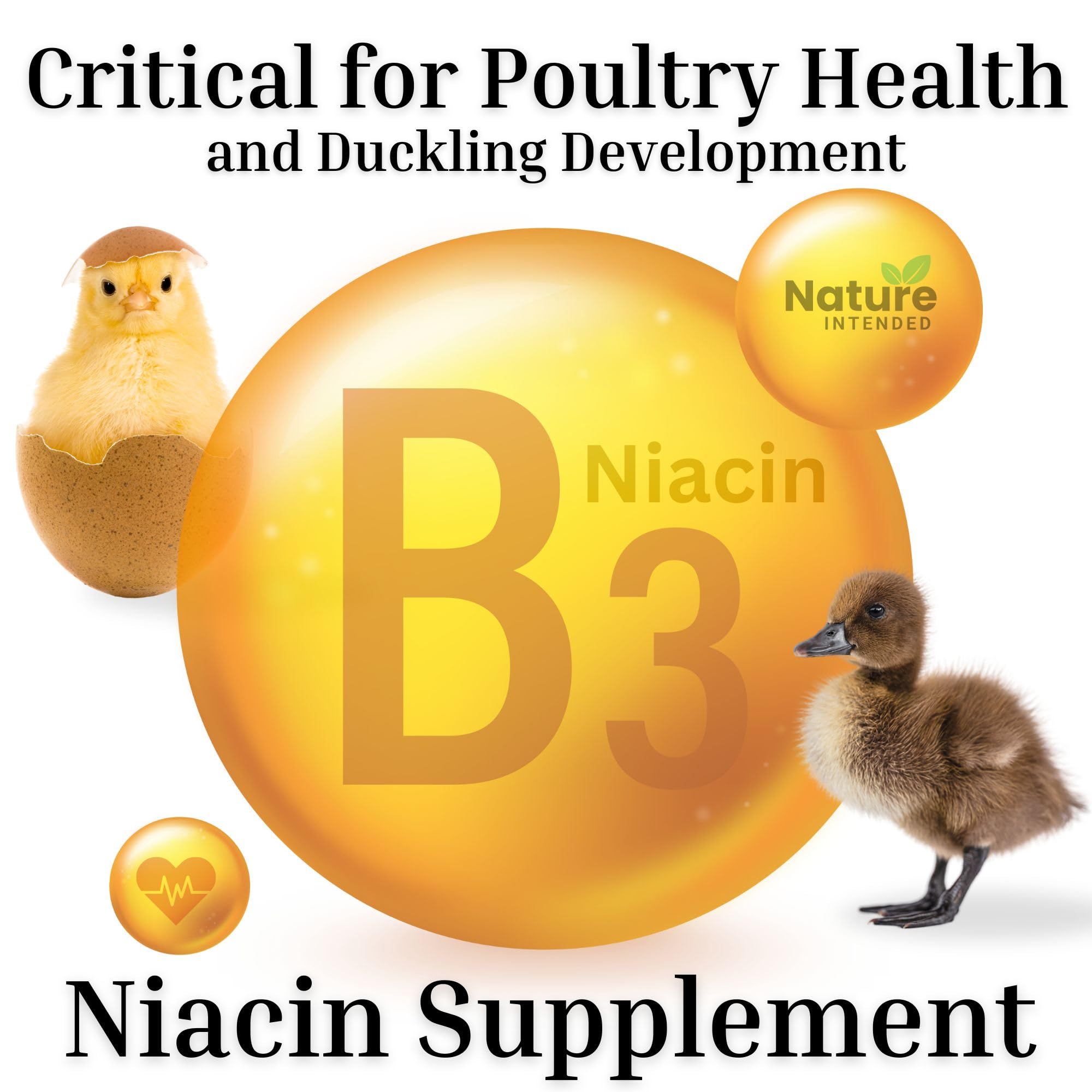 Nature INTENDED Brewers Yeast Probiotics ducks feeding shows stress-support nutrition