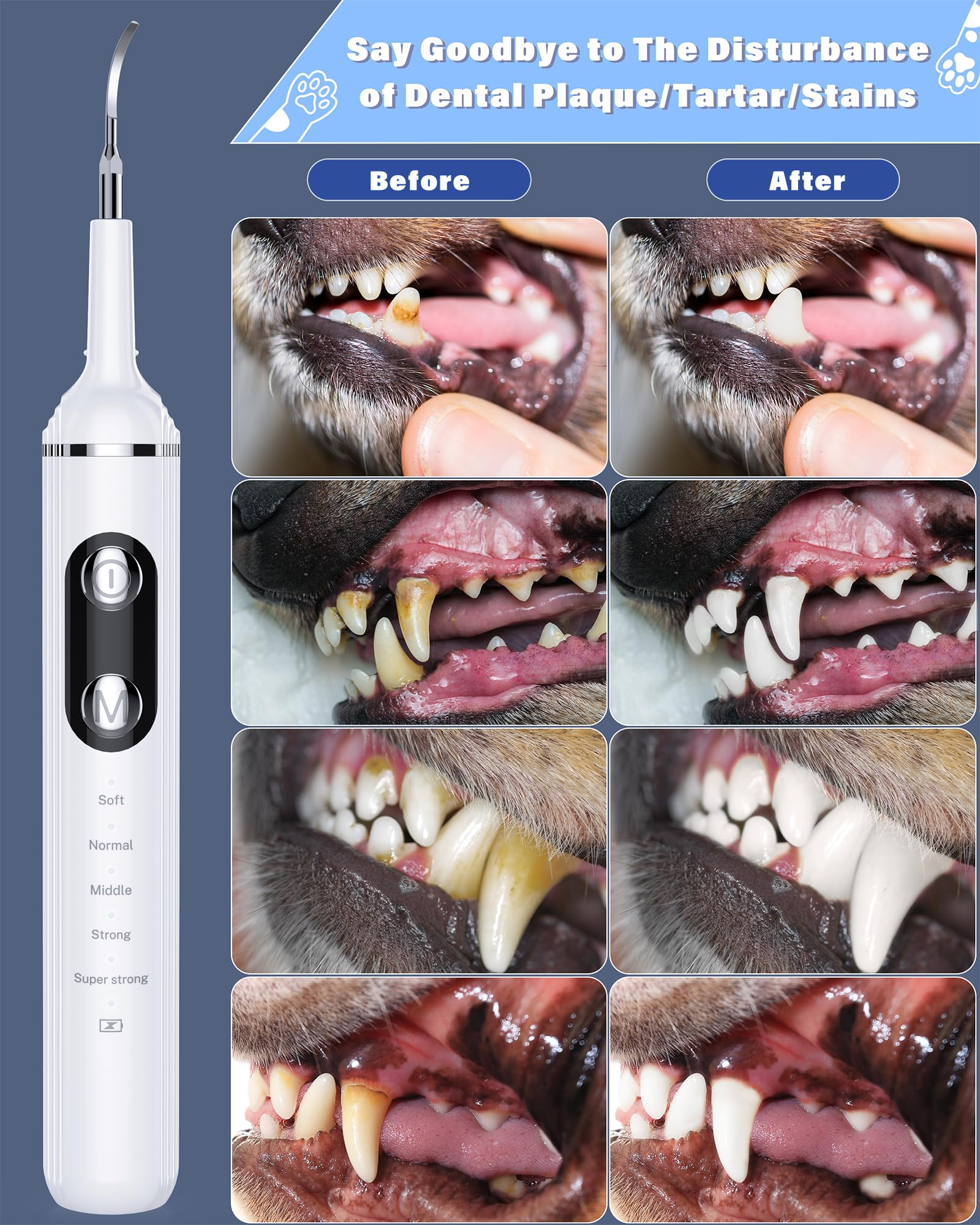 Nature Nerds all-in-one dental kit includes heads and probes for oral care