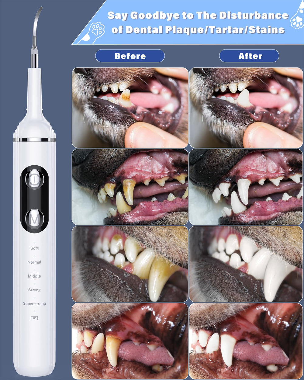 Nature Nerds all-in-one dental kit includes heads and probes for oral care