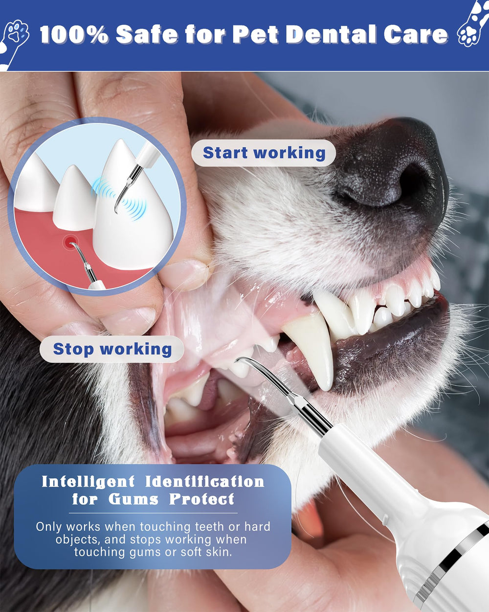 Nature Nerds pet toothbrush kit ready for at-home dog and cat dental care