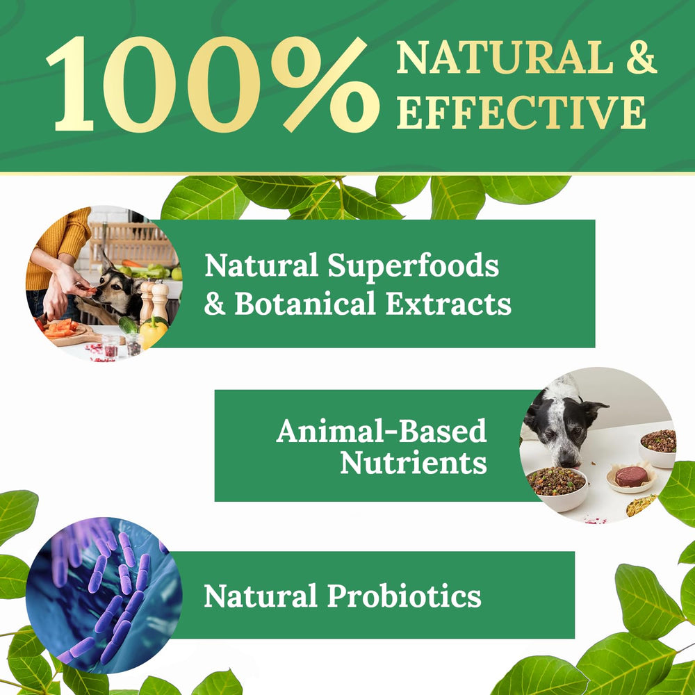 Nature’s NutriWave Pawbiotix daily-use scene for effortless integration into pet routines.